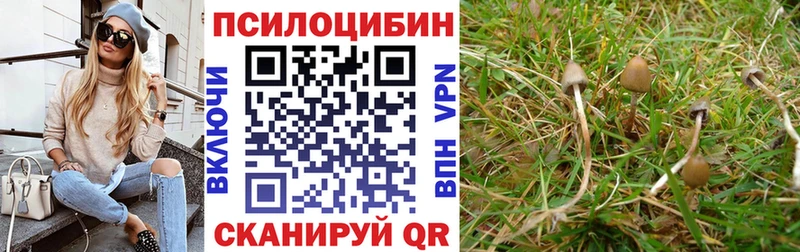 купить наркоту  Спас-Деменск  Псилоцибиновые грибы MAGIC MUSHROOMS 
